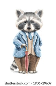 Watercolor vintage boy raccoon in suit holding red umbrella cane isolated on white background. Watercolor hand drawn illustration sketch