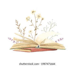Watercolor vintage composition with old stack of closed and open books in different colors with meadow dried flowers isolated on white background. Hand drawn illustration sketch