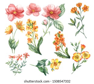 Watercolor vintage floral greeting card with flower. Natural botanical illustration isolated on white background - Powered by Shutterstock