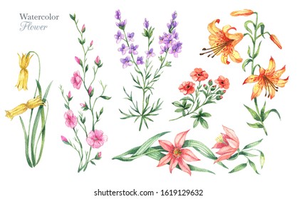 Watercolor vintage floral greeting card with flower. Natural botanical illustration isolated on white background - Powered by Shutterstock