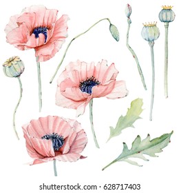 Watercolor vintage floral set. Spring or summer decoration floral bohemian design. Watercolor isolated. There are poppy, wheat. Perfect for invitation, wedding or greeting cards.
