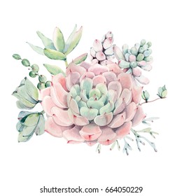 Watercolor vintage succulents bouquet. Spring or summer decoration floral bohemian design. Watercolor isolated. Perfect for invitation, wedding or greeting cards.