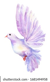 Watercolor Violet Dove Bird Flying Isolated On White. Purple Elegant Love Sign Illustration. Aquarelle Hand Painted Clipart. Hope, Peace, Romantic Freedom Symbol. Single Pigeon For Wedding Card Design