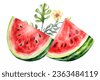 watermelon watercolor