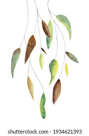 Watercolor weeping willow in autumnal colors
