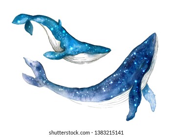 Watercolor whale hand painted illustration isolated on white background.Animal watercolor silhouette sketch. Hand draw art illustration.Graphic for fabric,tee-shirt, postcard, greeting card, sticker.