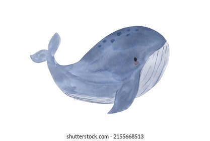 Watercolor Whale Illustration Kids Stock Illustration 2155668513 