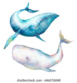 Watercolor Whale Set Hand Drawn Humpback Stock Illustration 646576048