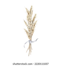 Watercolor Wheat Bouquet With Light Blue Ribbon, Hand Drawn Illustration On White Background