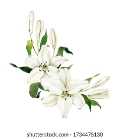Watercolor white lilies single angular composition isolated on white background. Floral bouquet.  Hand drawn clipart for wedding invitations, birthday stationery, greeting cards, scrapbooking.
