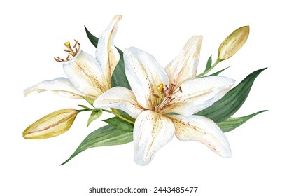 Watercolor white lily. Flower bud illustration on white background for cards, wedding invitations and packaging design - Powered by Shutterstock