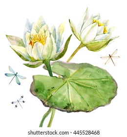 watercolor with white lotus flowers, water lily leaves retro card, dragonfly