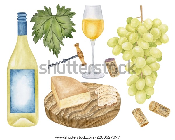 Watercolor White Wine Set Wine Testing Stock Illustration 2200627099 ...