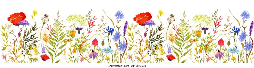 Watercolor Widflowers  Seamless Border, Floral Pattern, Isolated Element on white Background, Poppy, Chamomile, Lavander, Cornflower, Bluebell, Chicory, Tansy, Flowers Ornament