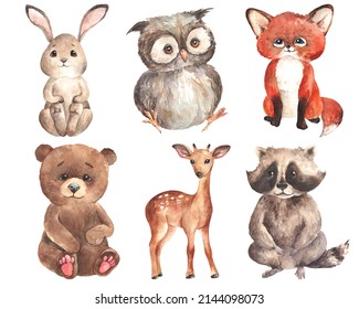 Watercolor Wild Animals Clipart Perfect Baby Stock Illustration ...