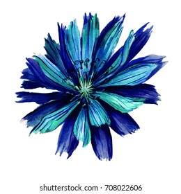 白い背景に水彩の野原のカラフルな花 青 藍の花びら組成 グリーティングカード 熱帯 エキゾチックな明るい植物 のイラスト素材 Shutterstock