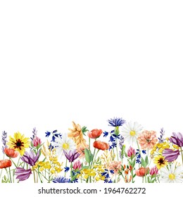 Watercolor Wild Floral Bright Wildflowers Border Stock Illustration ...