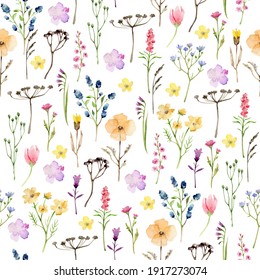 Watercolor wild flowers pattern.Meadow flowers.Flowers and herbs seamless pattern