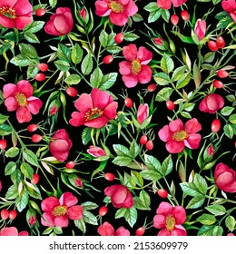 Watercolor Wild roses - Rosa canina - Dog-rose seamless background Bright botanical pattern with hand-painted pink spring- summer rosehip flowers, buds, fruits and green leaves on a black background 