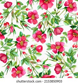 Watercolor Wild roses - Rosa canina - Dog-rose seamless background Bright botanical pattern with hand-painted pink spring- summer rosehip flowers, buds, fruits and green leaves on a white background