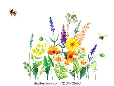 Watercolor Wildflowers And Bee Bouquet. Rustic Floral Colorful Blooming Illustration Isolated On White. Summer Meadow, Botanical Bohemian Wedding Invitation, Greeting, Card, Print