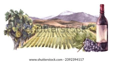 Watercolor wine label. Bottle of red wine with bunch of grapes in front of vineyards, rural landscape with fields, hills and mountains. Winemaking. Hand draw illustration isolated on white background 