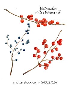 Watercolor Winter Berries Set. Hand Painted Red And Blue Winter Berries On White Background. Botanical Illustration For Design Or Print.