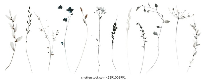Watercolor winter floral set of dark blue, gray, black wild leaves, greenery, branches, twigs etc. Clip art drawing