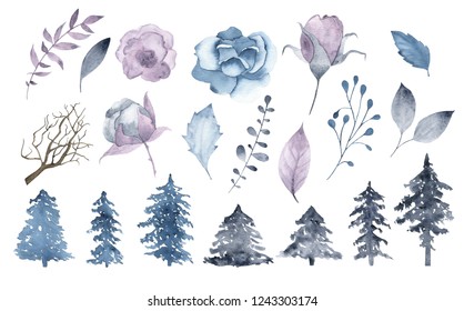 Watercolor Winter Flowers Brunch Leaves Fir Tree Isolated On White Background. Floral Botanical Illustration For Cards, Wedding Invitations