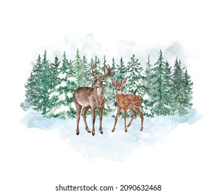 Watercolor Winter Forest Illustration. Hand Painted Deer And Doe, Snowy Pine Trees, On White Background. Christmas Cards Template. Landscape Scene Graphic.