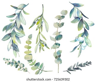 Watercolor winter plants set. Hand drawn botanical elements isolated on white background. Branches with berries, eucalyptus, mistletoe for modern natural design
