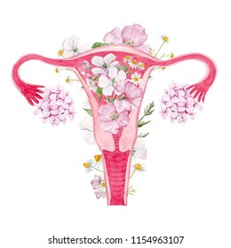 Watercolor women's print, organ of the uterus with flowers, feminism, female nature