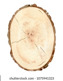 Watercolor wood slice isolated on white background. Tree trunk cross section.