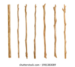 Watercolor wooden sticks set. Hand drawn tree branches isolated on white. Bare twigs decoration, wood trunks, rustic natural design
