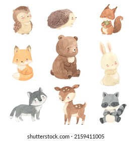 Watercolor woodland animals. Bear, fox, bunny, raccoon, illustration for kids