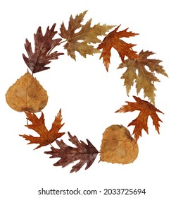Watercolor wreath with autumn leaves. Fall leaves in pastel colors. Oak, maple, birch and willow leaves. Detailed botanical illustration isolated on white background.