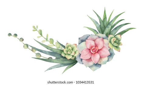 Watercolor wreath of cacti and succulent plants isolated on white background. Flower illustration for your projects, greeting cards and invitations.