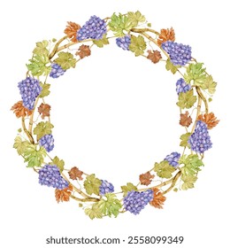 Watercolor wreath of grapevine with blue berries. Round frame of pink grapes and leaves. Autumn design for wedding decoration in rustic style. Label for red wine, juice. Clipart for restaurant menu. - Powered by Shutterstock