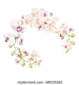 Watercolor Wreath With Orchid Flowers. Illustration.