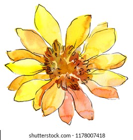 Watercolor yellow african daisy flower. Floral botanical flower. Isolated illustration element. Aquarelle wildflower for background, texture, wrapper pattern, frame or border.