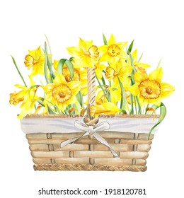 Watercolor  yellow daffodils Easter basket. Suitable for greeting cards, easter cards, invitations, birthday, first communion, baptism, spring events - Powered by Shutterstock