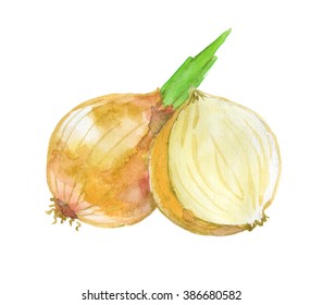 Watercolor Yellow Onion