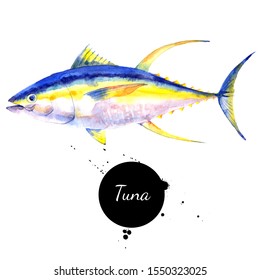 Watercolor Yellowfin Tuna Fish Illustration. Painted Isolated Seafood On White Background