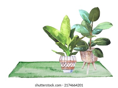 Watercolor Yoga Mat With Plants Illustration Isolated On White. Botanical Illustration. Home Potted Plant. Nature Trend. Plant Lover Watercolor Clipart. House Plant. Urban Jungle.