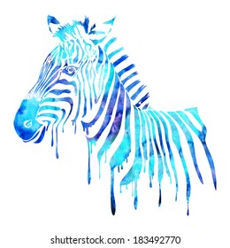 Watercolor Zebra Head - Abstract Animal Illustration Isolated On White