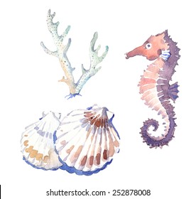 Watercolor-style marine illustration set - shells, coral and seahorse