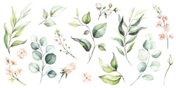 Watercolour Floral Illustration Set. DIY Flower, Green Leaves Elements Collection - For Bouquets, Wreaths, Arrangements, Wedding Invitations, Anniversary, Birthday, Postcards, Greetings, Cards, Logo.