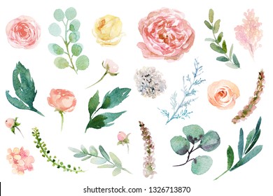 Watercolour floral illustration set. DIY flower elements collection - perfect for flower bouquets, wreaths, arrangements, wedding invitations, anniversary, birthday, postcards, greetings, cards, logo.