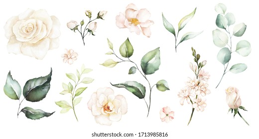 Watercolour Floral Illustration Set. DIY Flower, Green Leaves Elements Collection - For Bouquets, Wreaths, Arrangements, Wedding Invitations, Anniversary, Birthday, Postcards, Greetings, Cards, Logo.