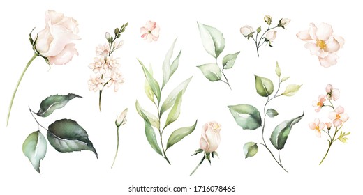 Watercolour floral illustration set. DIY flower, green leaves elements collection - for bouquets, wreaths, arrangements, wedding invitations, anniversary, birthday, postcards, greetings, cards, logo.